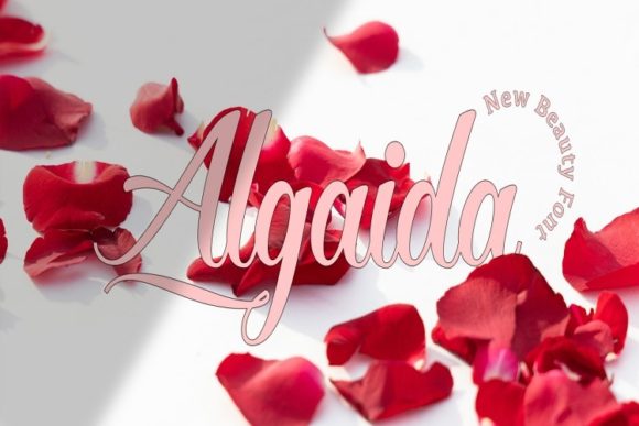 Algaida: A Modern Script Font for Branding