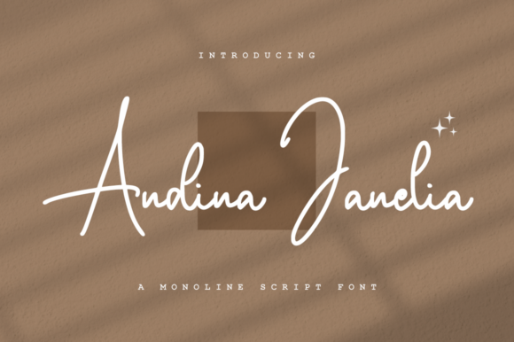 Andina Janelia: A Modern Script Font for Campaigns