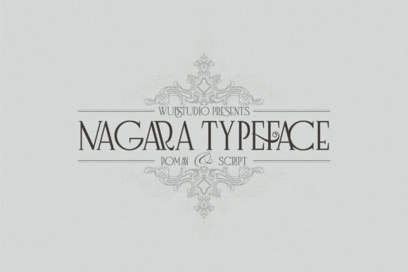 Nagara: A Real-World Designer Review