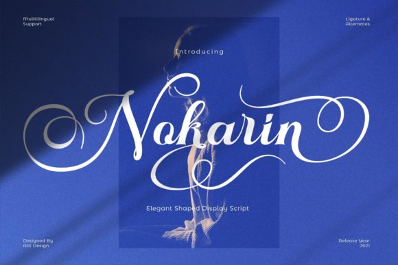 Nokarin Font: Elevate Your Brand Identity