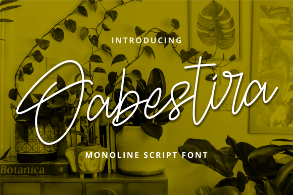 Oabestira: A Handwritten Font for Bold Campaigns