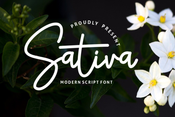 Sativa: The Elegant Handwritten Font for Your Brand